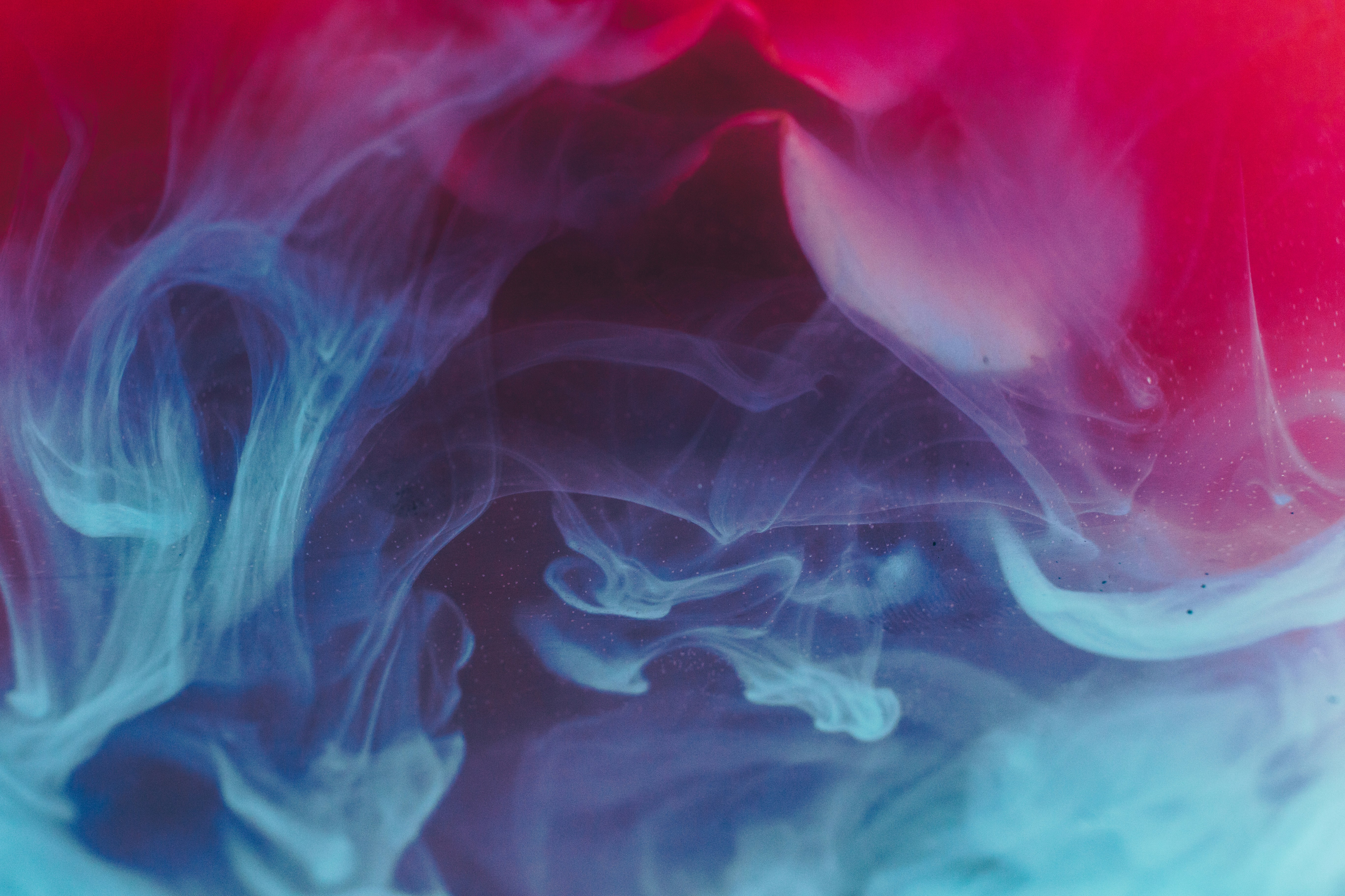 Unsplash/Ruvim Noga
