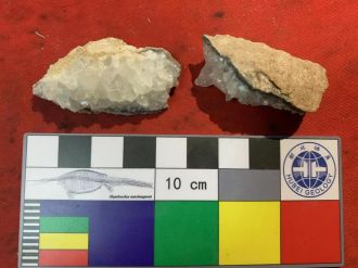 Dinosaur egg fossil samples for chronological analysis