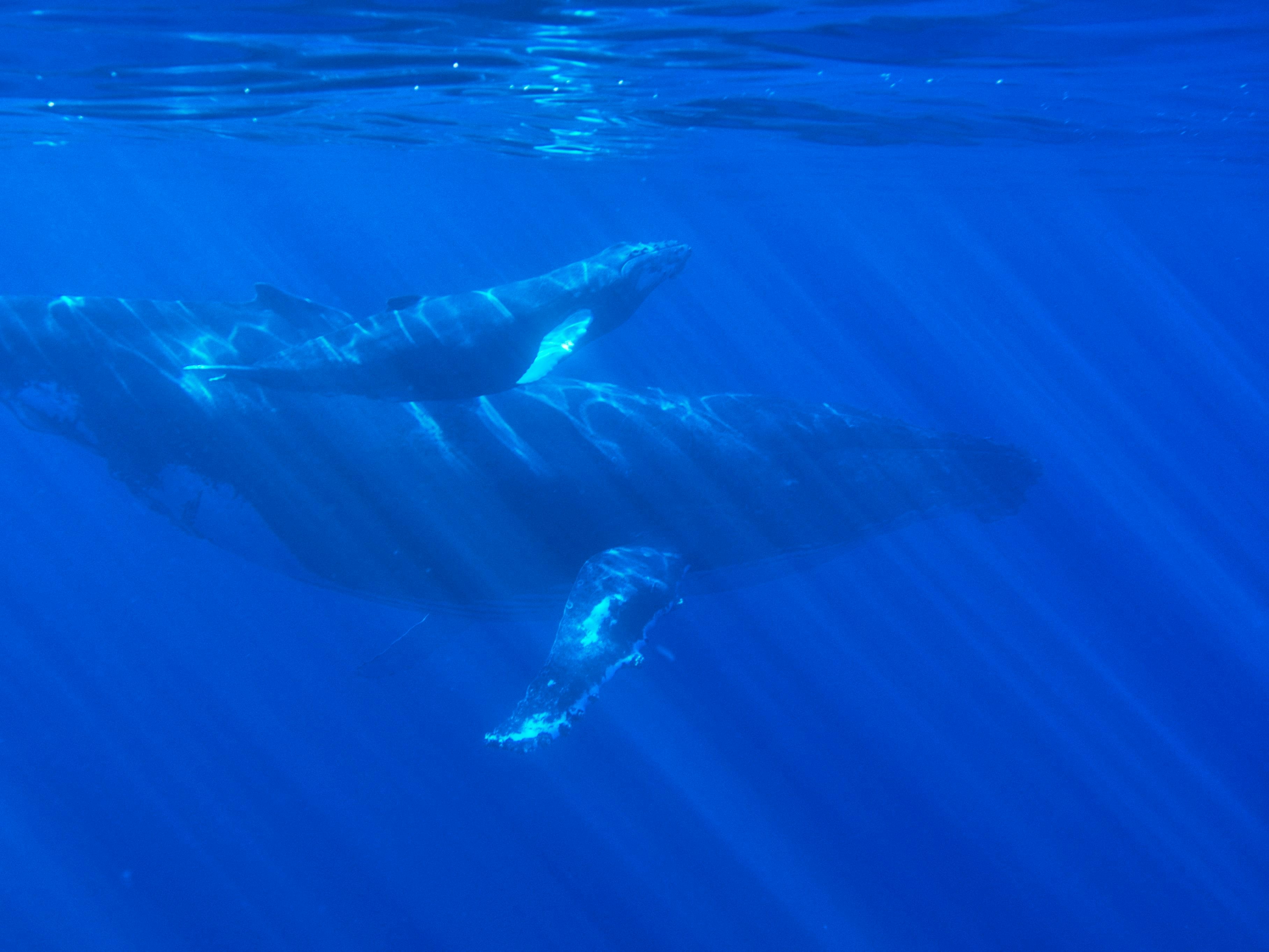 PHOTO: Swanson Chan on Unsplash