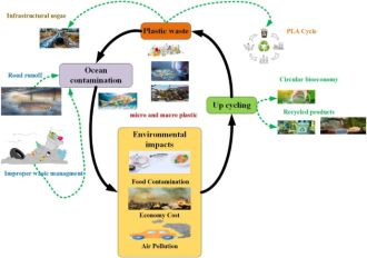 morpho-physiological implications 