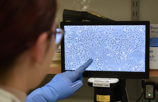 Photo by The University of Queensland