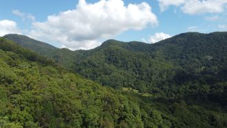 Wollumbin National Park. Image: Patrick Norman