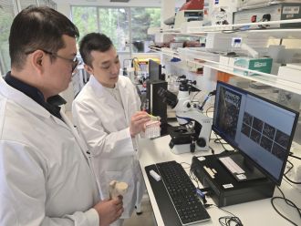 Biomedical Nanoengineering Lab