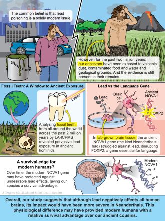 Infography showing exposure to lead poisoning over time