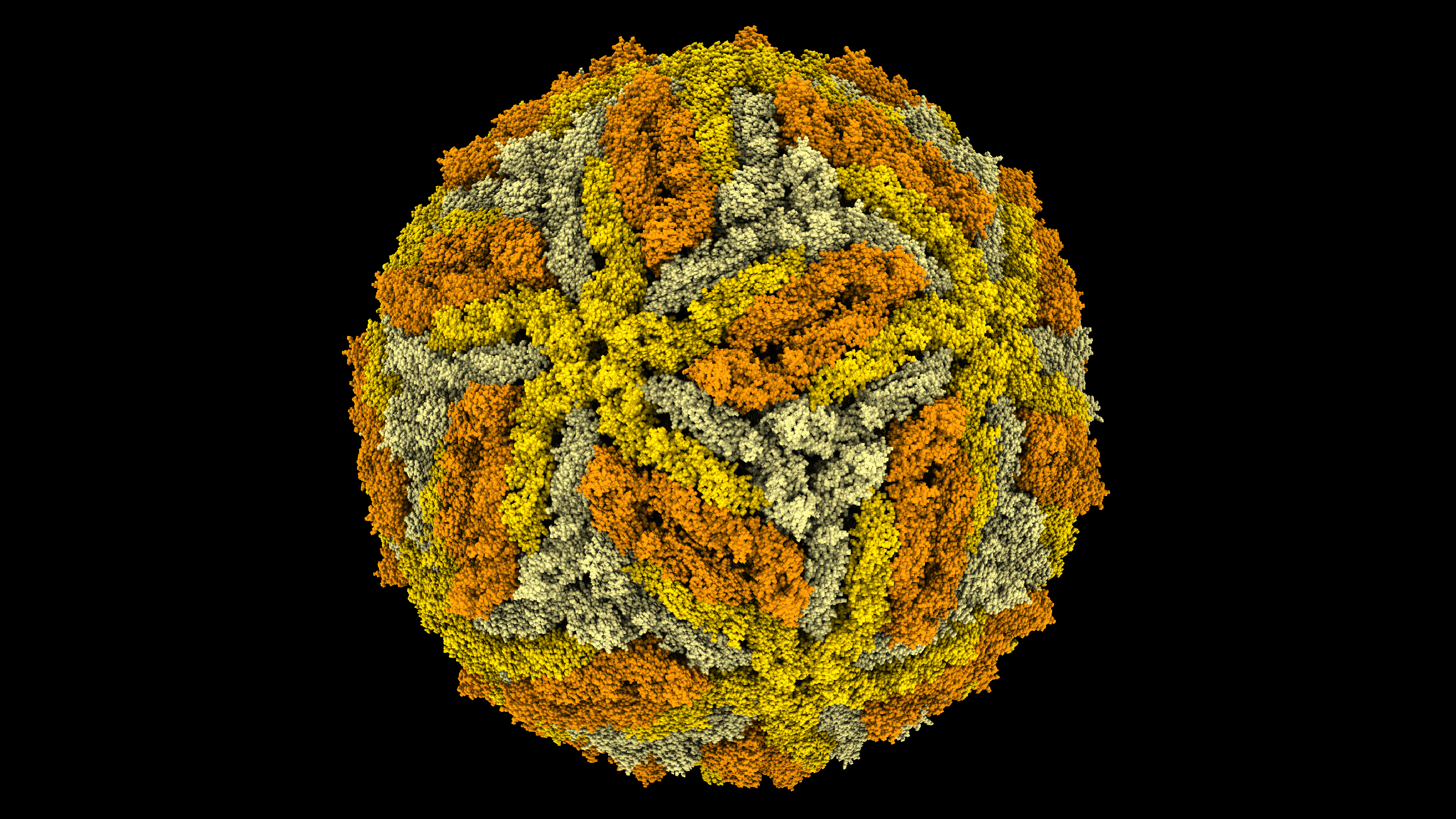 The University of Queensland