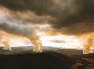 'Firebombing' in Tasmania, Australia, to clear forests after logging