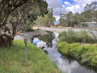 Artificial banks remove available habitat for Carter’s freshwater mussel