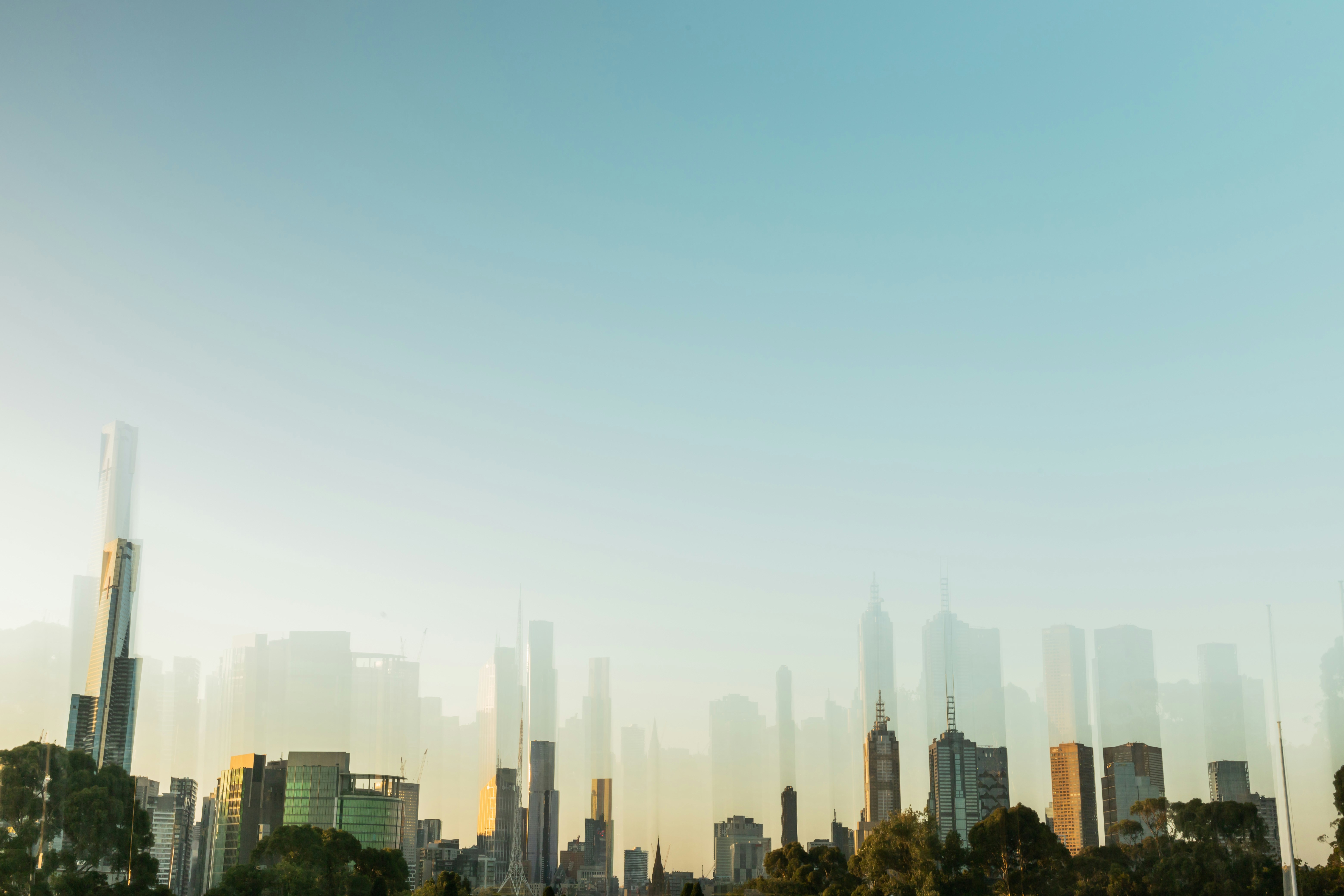 Mitchell Luo (Unsplash)