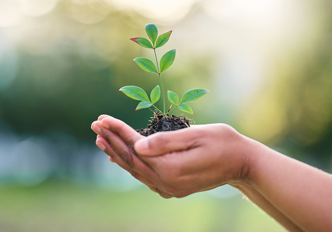 N Felixpeopleimages.com/Adobe Stock