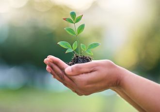 A global review shows women play a critical but often overlooked role in community wildlife conservation efforts.