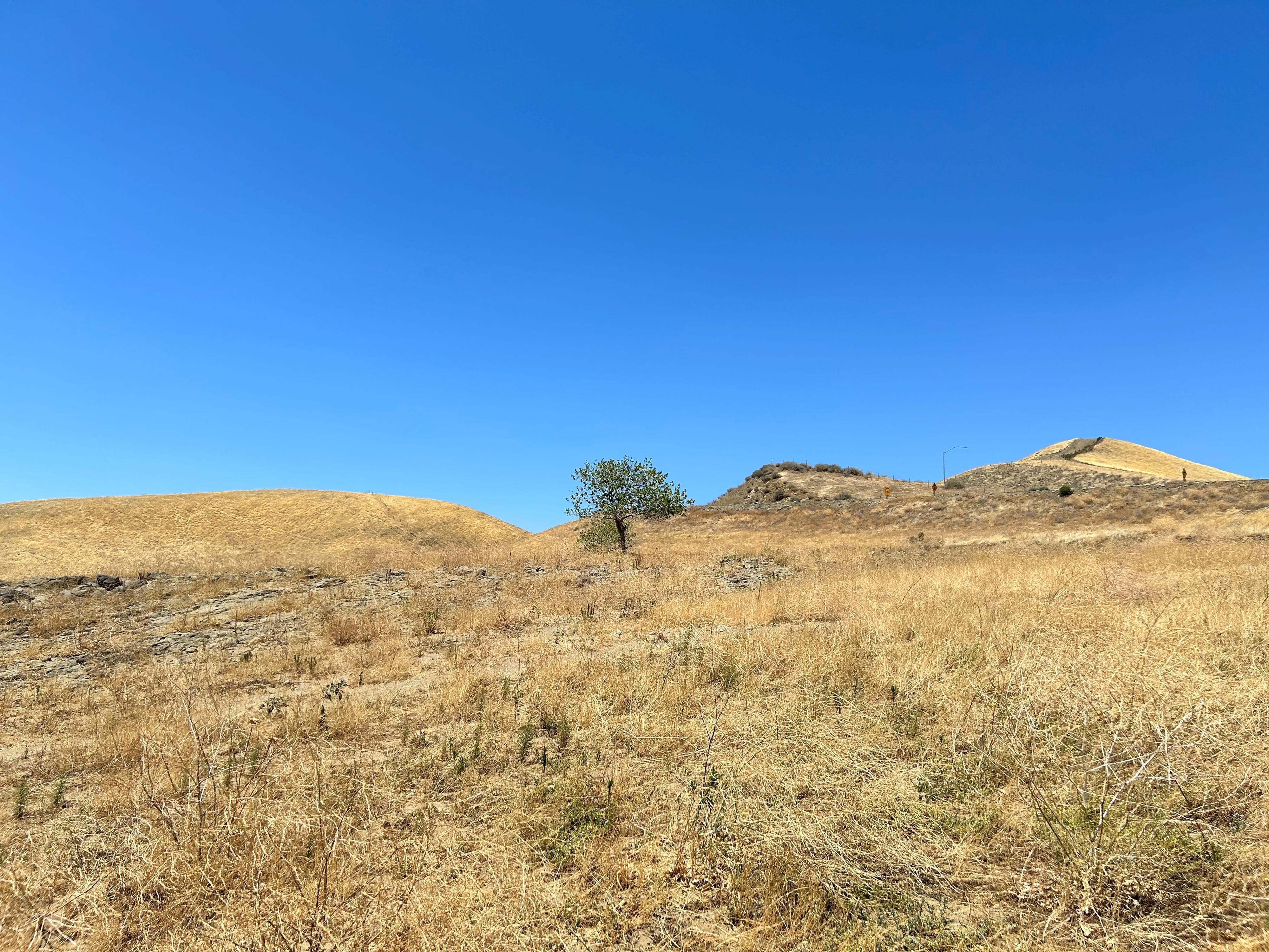 Dry soils, such as found in California and other global locations during arid months, select for antibiotic resistant bacteria. Credit: Xiaoyu Shan