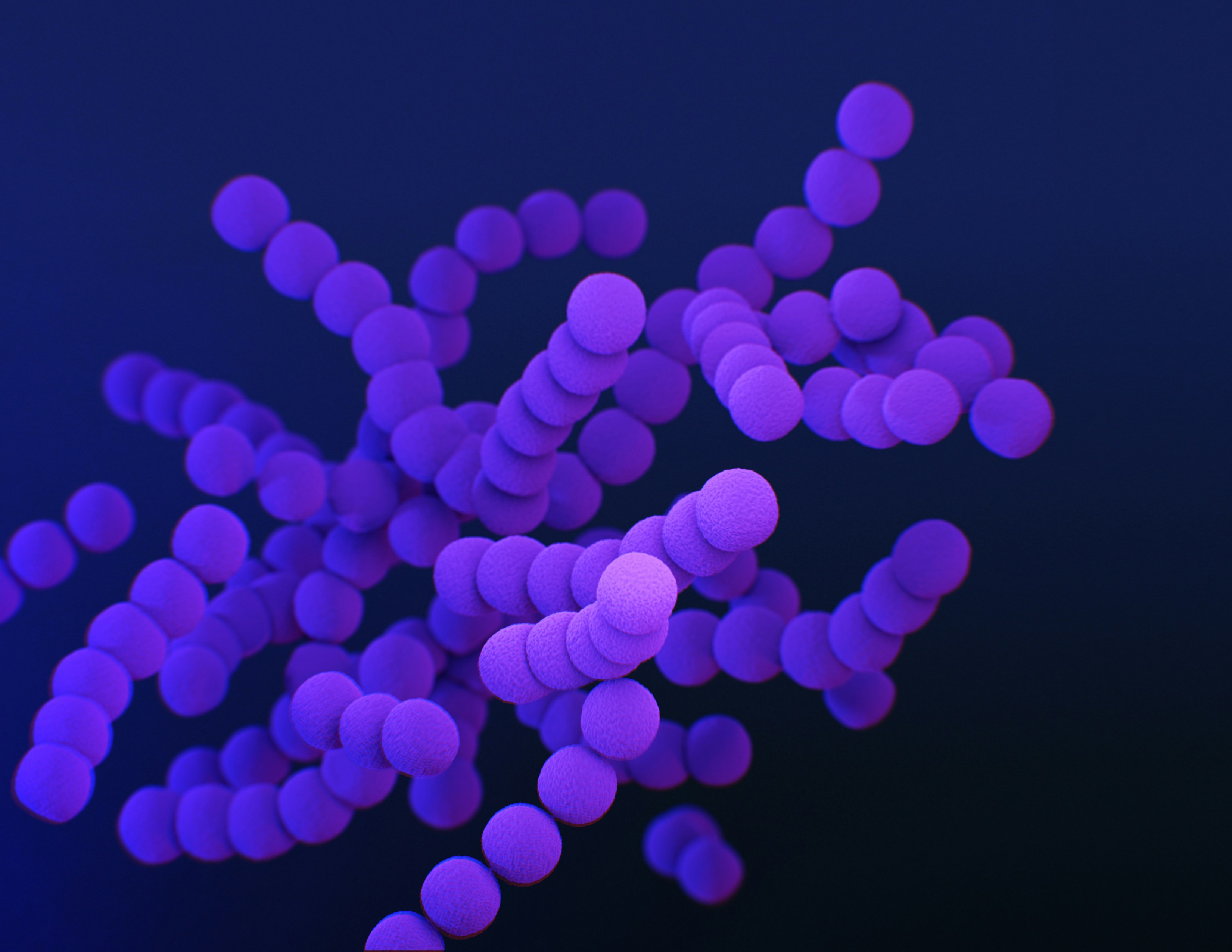 CC-0. Medical illustration of clindamycin-resistant group B Streptococcus bacteria