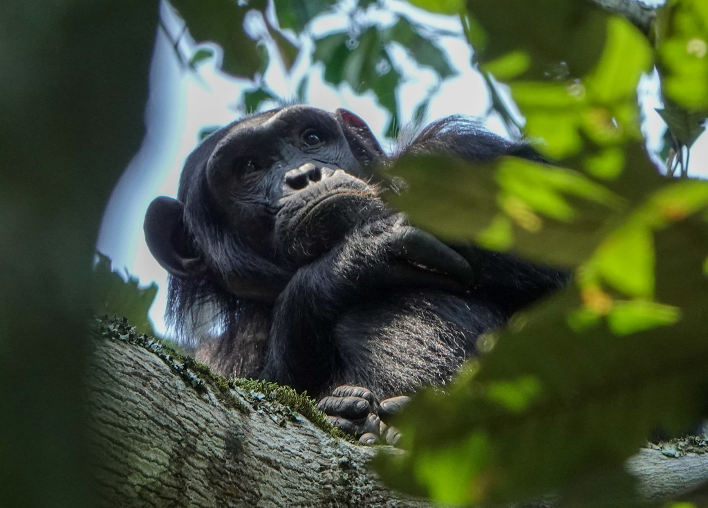 (c) David Kidwell – some rights reserved (CC BY-NC-SA)