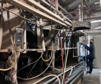 Assisting in sampling within a dairy parlor
