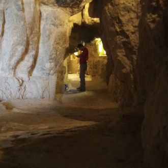 Caliph al-Ma’mun’s Entrance