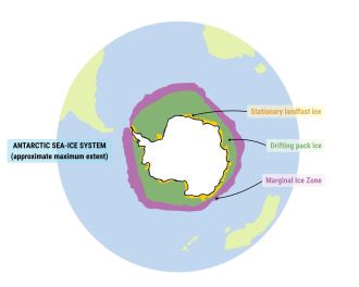 Antarctic sea-ice system