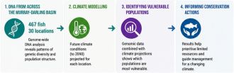 Summary Infographic