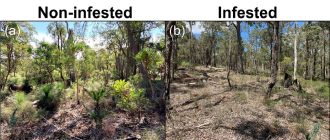 The conditions of two sites in the Shire of Mundaring used in the study. 