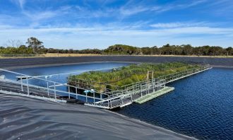 Floating wetland