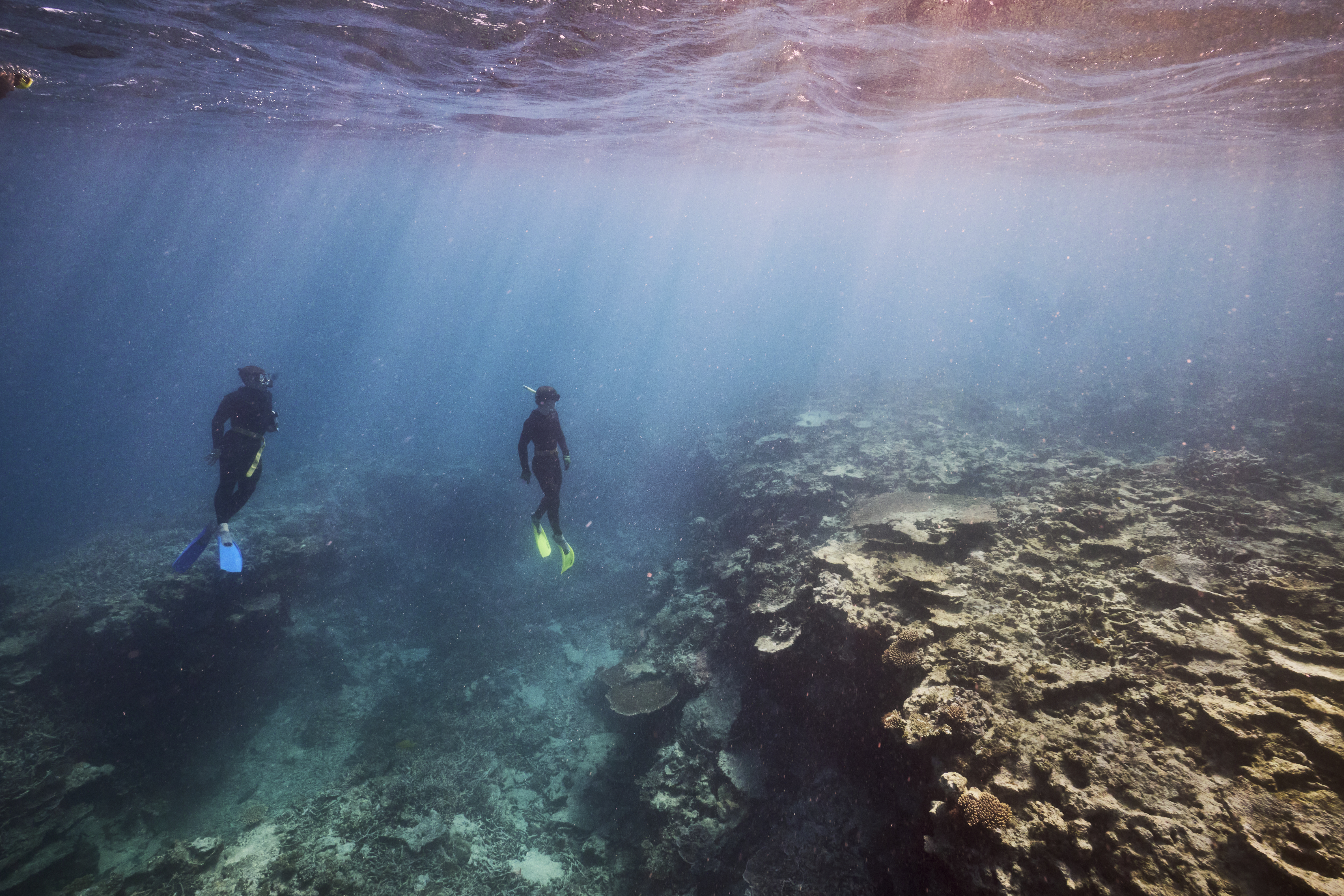 Photo: Richard Freeman, UNSW Sydney