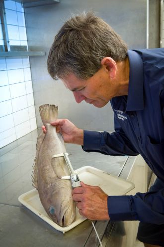 Jeff Johnson and new species of fish