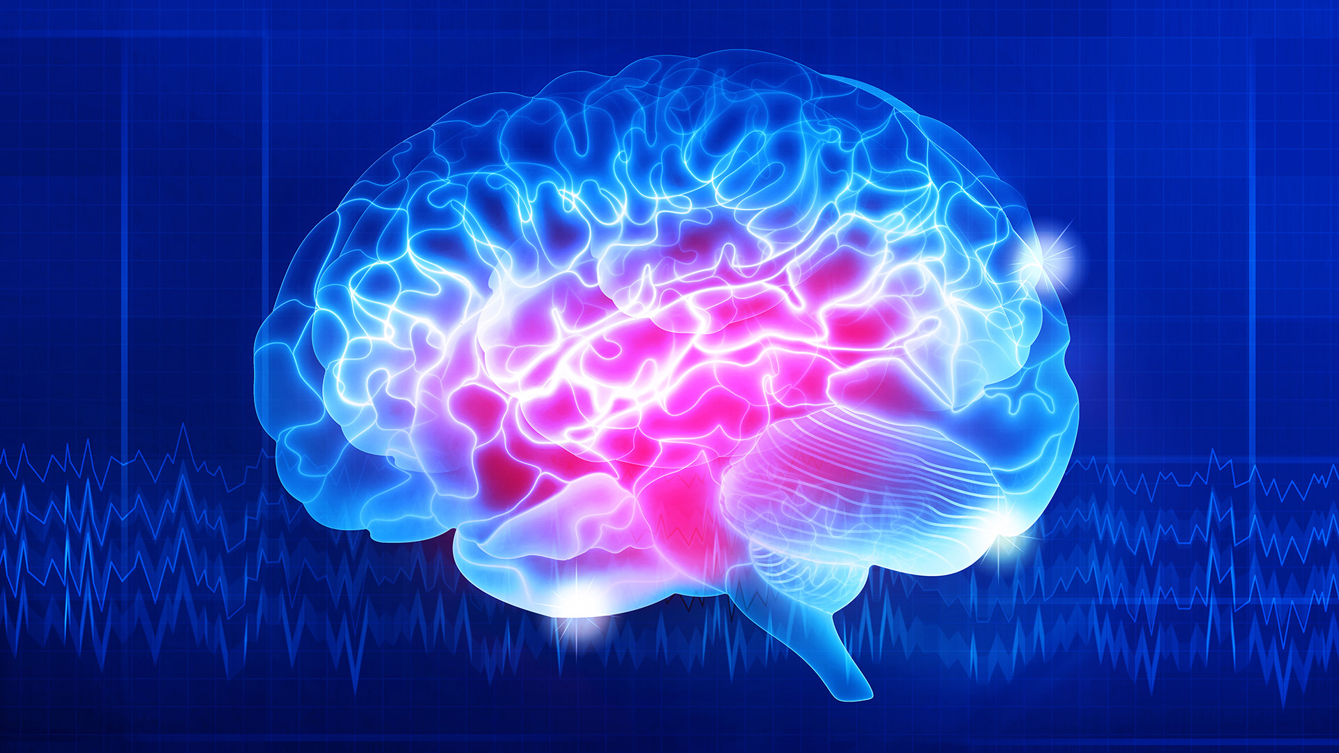 Saturated fatty acid levels increase when making memories - Scimex
