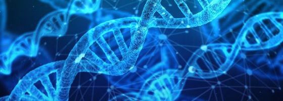 Dna