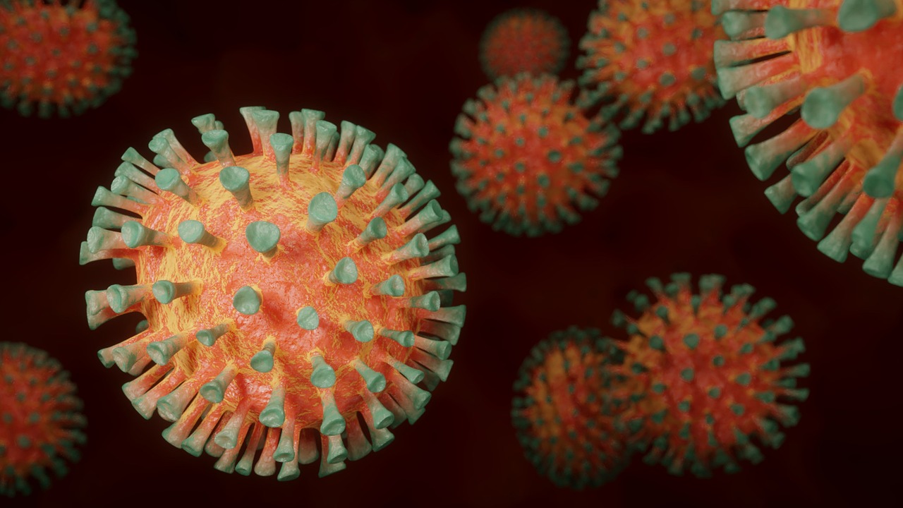 CC-0. https://pixabay.com/photos/coronavirus-corona-virus-pandemic-4972480/