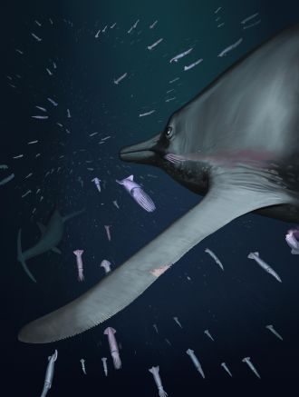 Life reconstruction