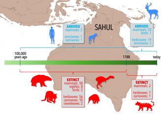 Timeline displaying the change in Sahul’s large-bodied tetrapod fauna