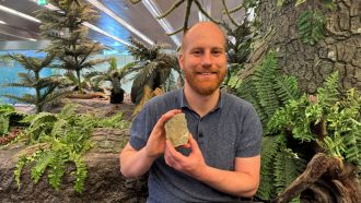 Dr Stephan Spiekman with the Mirasaura fossil