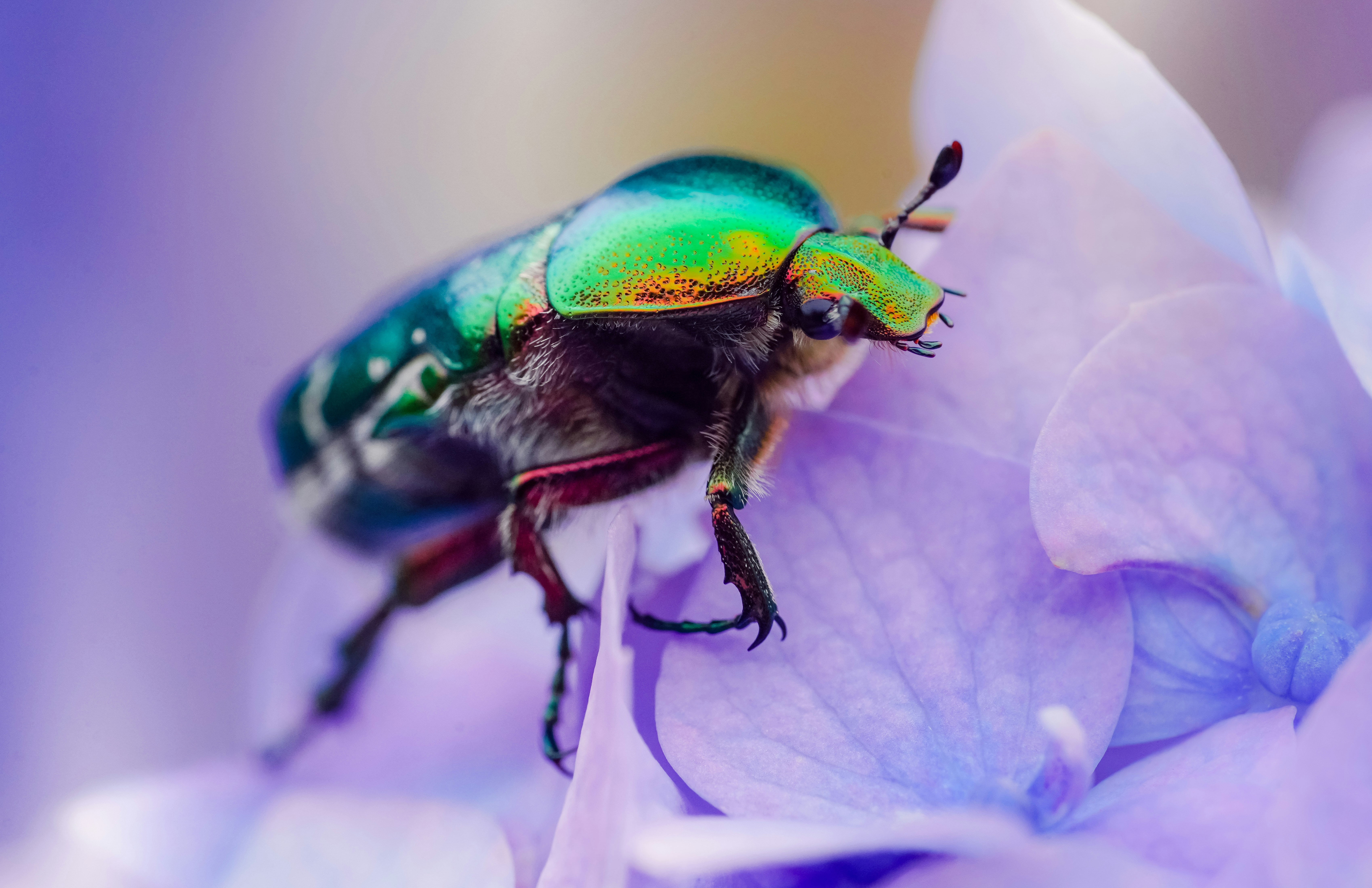 Photo by Daniel Norin on Unsplash