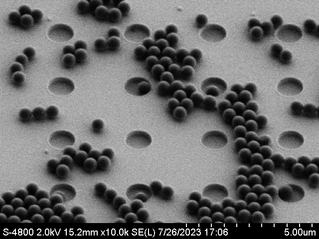 Nanoplastics under a scanning electron microscope / Credit: Dr Lukas Wesemann, University of Melbourne, and Mario Hentschel, University of Stuttgart