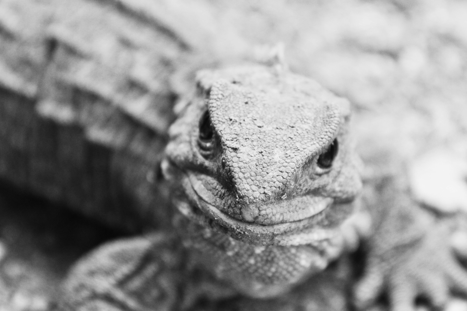 PHOTO: Simon Infanger/Unsplash