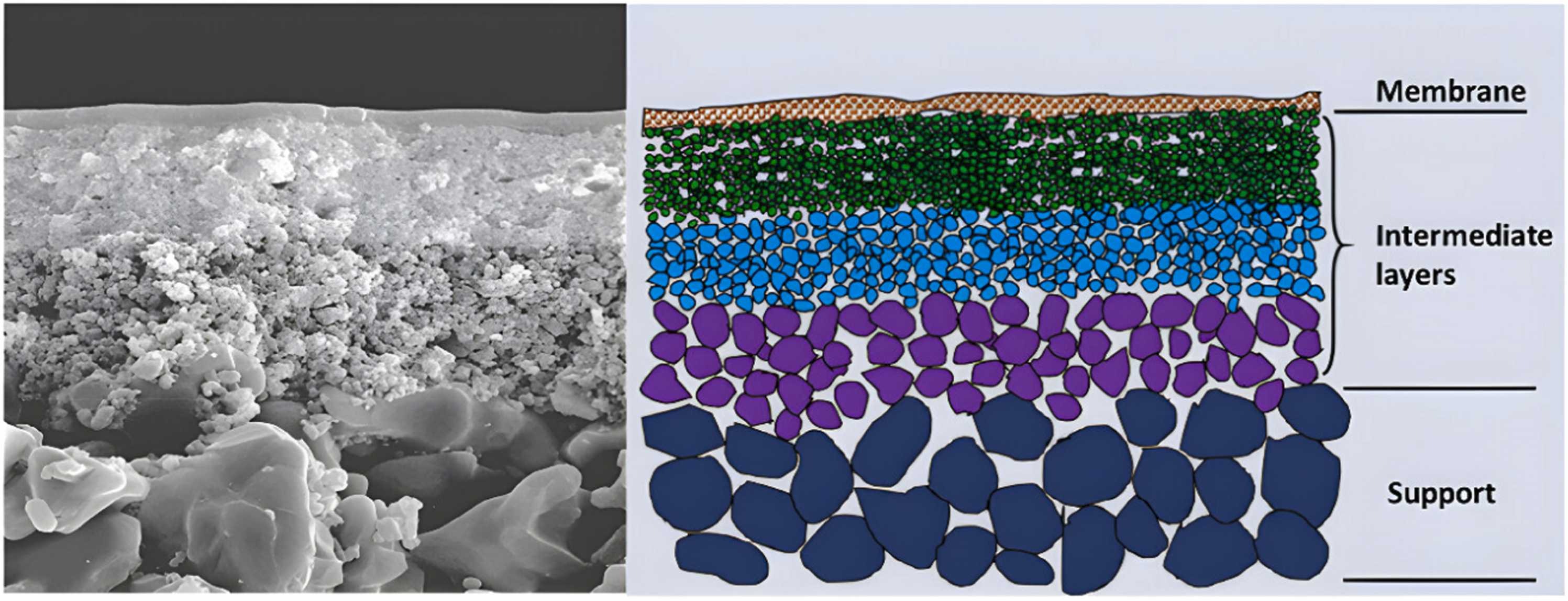 Schematic of an asymmetrical ceramic membrane cross-section. Credit: Cleaner Water (2025). DOI: https://doi.org/10.1016/j.clwat.2025.100100
