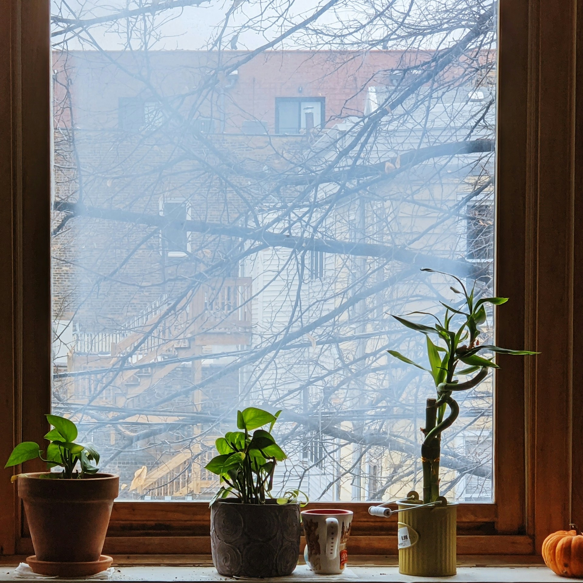 Photo by Cong Wang on Unsplash