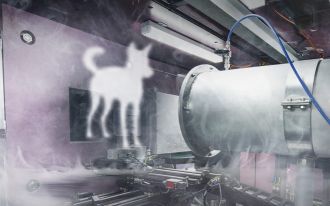 An advanced imaging collaboration between Australian researchers aims to develop a world-first 3D elemental mapping technique to simultaneously measure the structure and elemental composition of objects. This is achieved by combining neutron computed tomography (NCT) with neutron activation analysis (NAA) through a novel computational imaging technique known as ‘ghost imaging’.