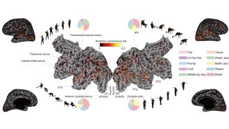 Brain maps showing predicted brain activity for one participant viewing dances.