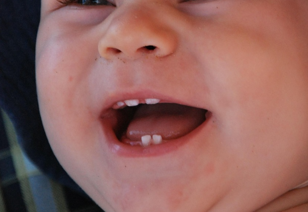 Image by Mojca-Peter from Pixabay