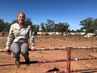 Cattle producers in Northern Australia face unique challenges when adapting tools like virtual fences on their properties, but new research from Charles Darwin University (CDU) is set to break down the barriers to this technology.