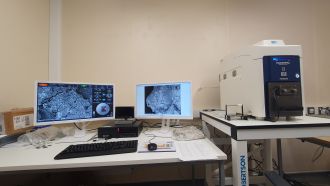 Scanning Electron Microscopy