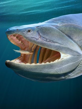 Eosteus chongqingensis (left) and Megamastax amblyodus (right)