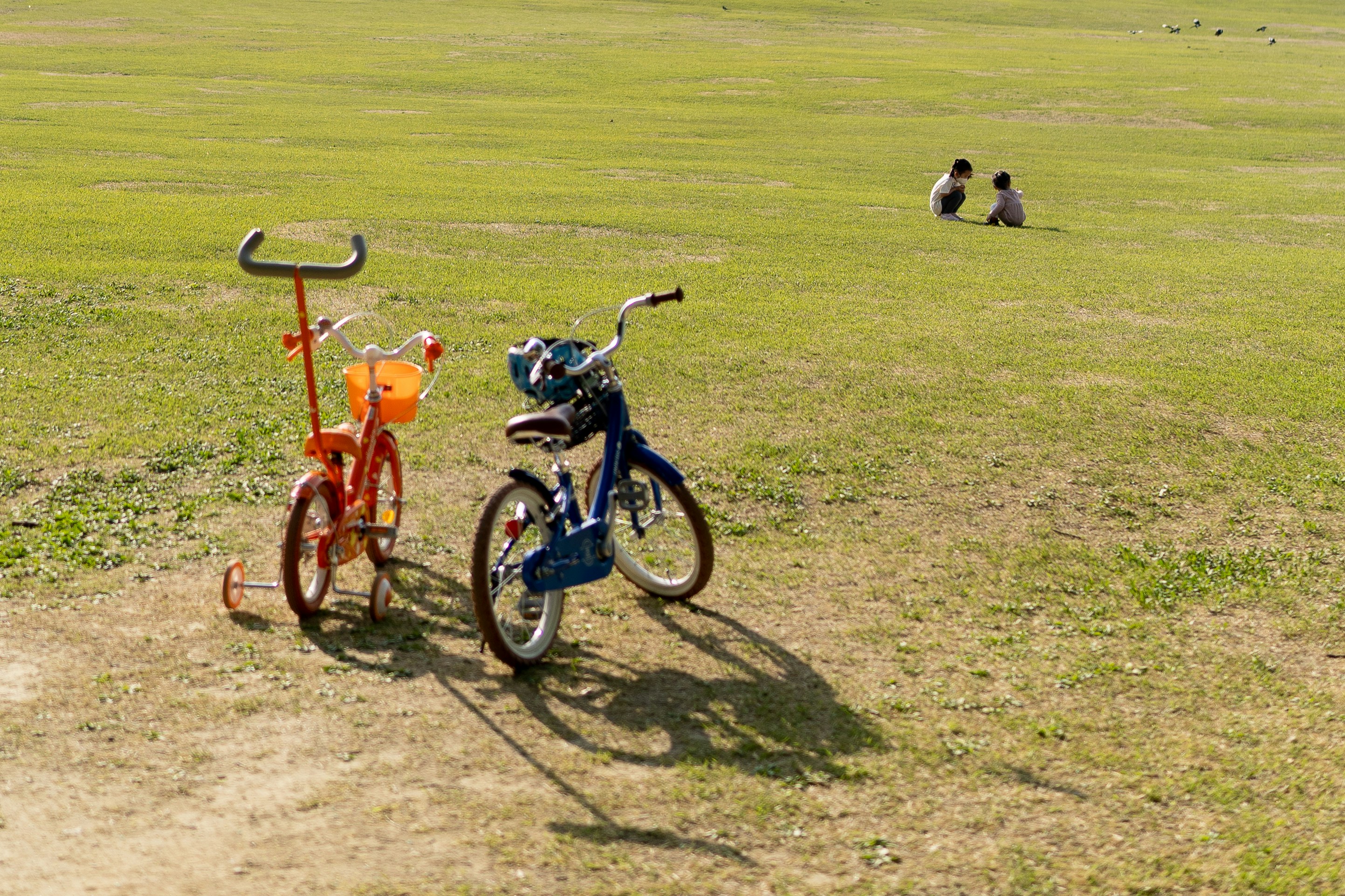 Photo by sq lim on Unsplash