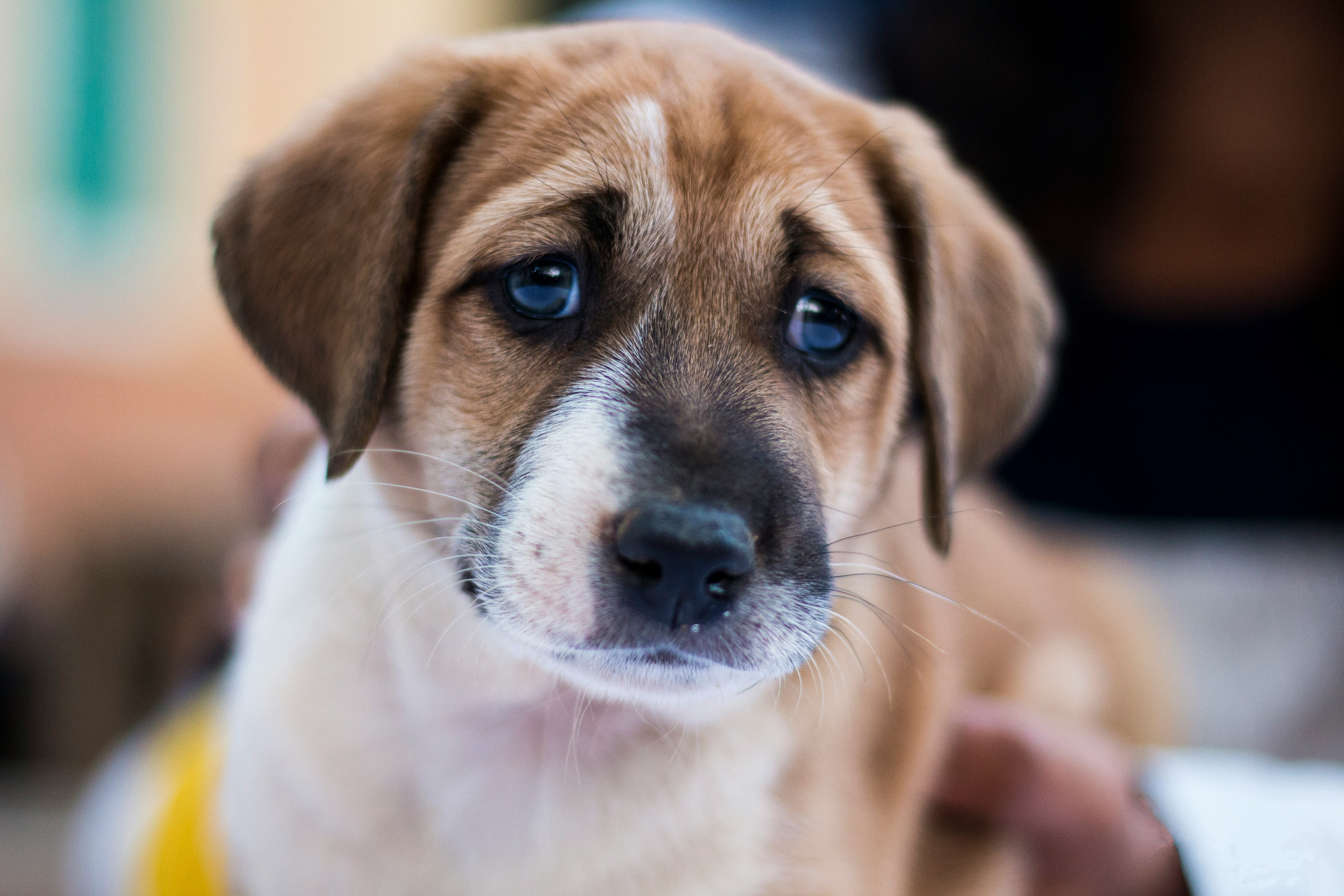 Photo by Bharathi Kannan on Unsplash