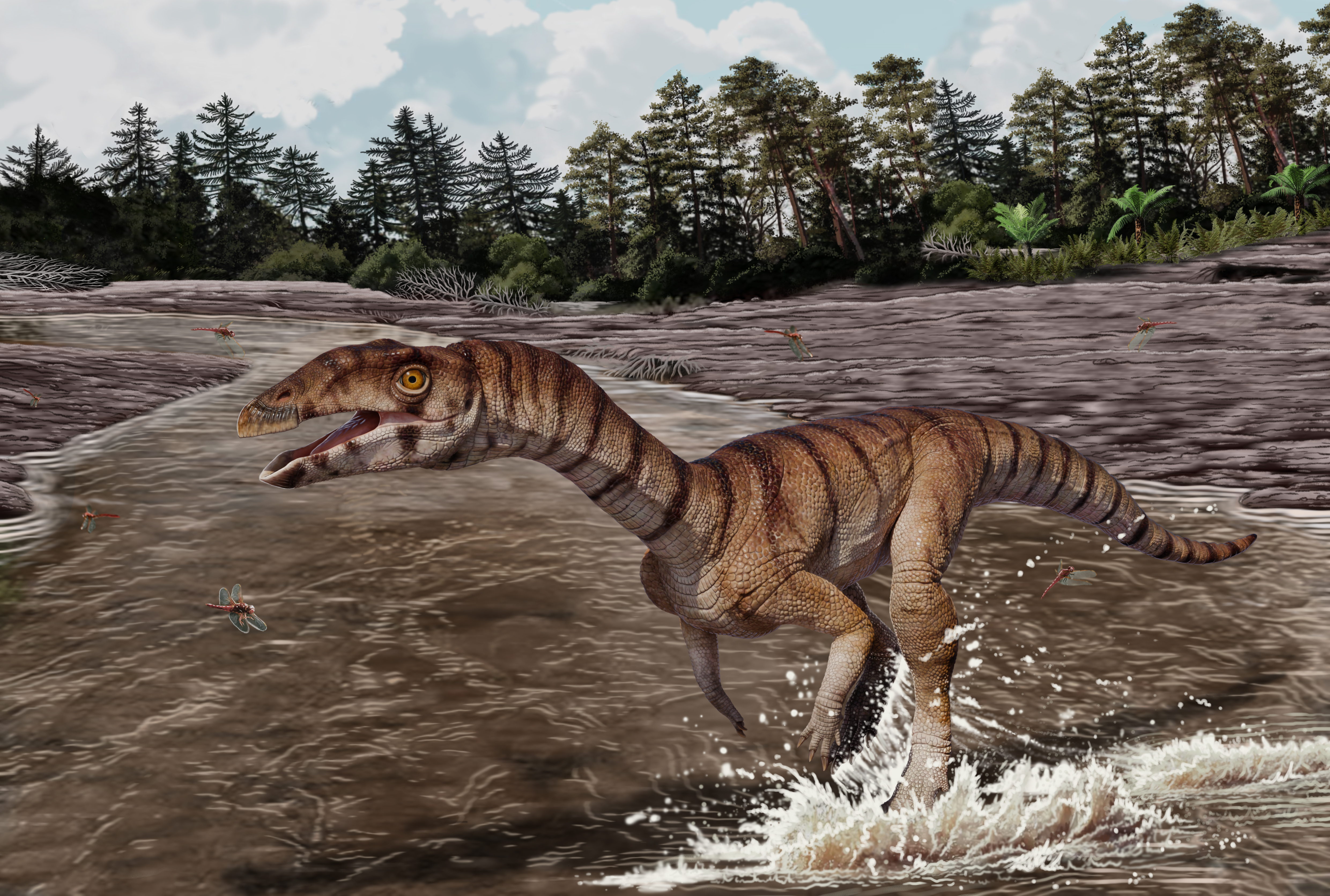Artwork by Jorge Gonzalez, copyright NHMLAC Dinosaur Institute