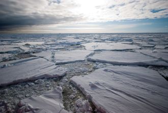 Marginal Ice Zone
