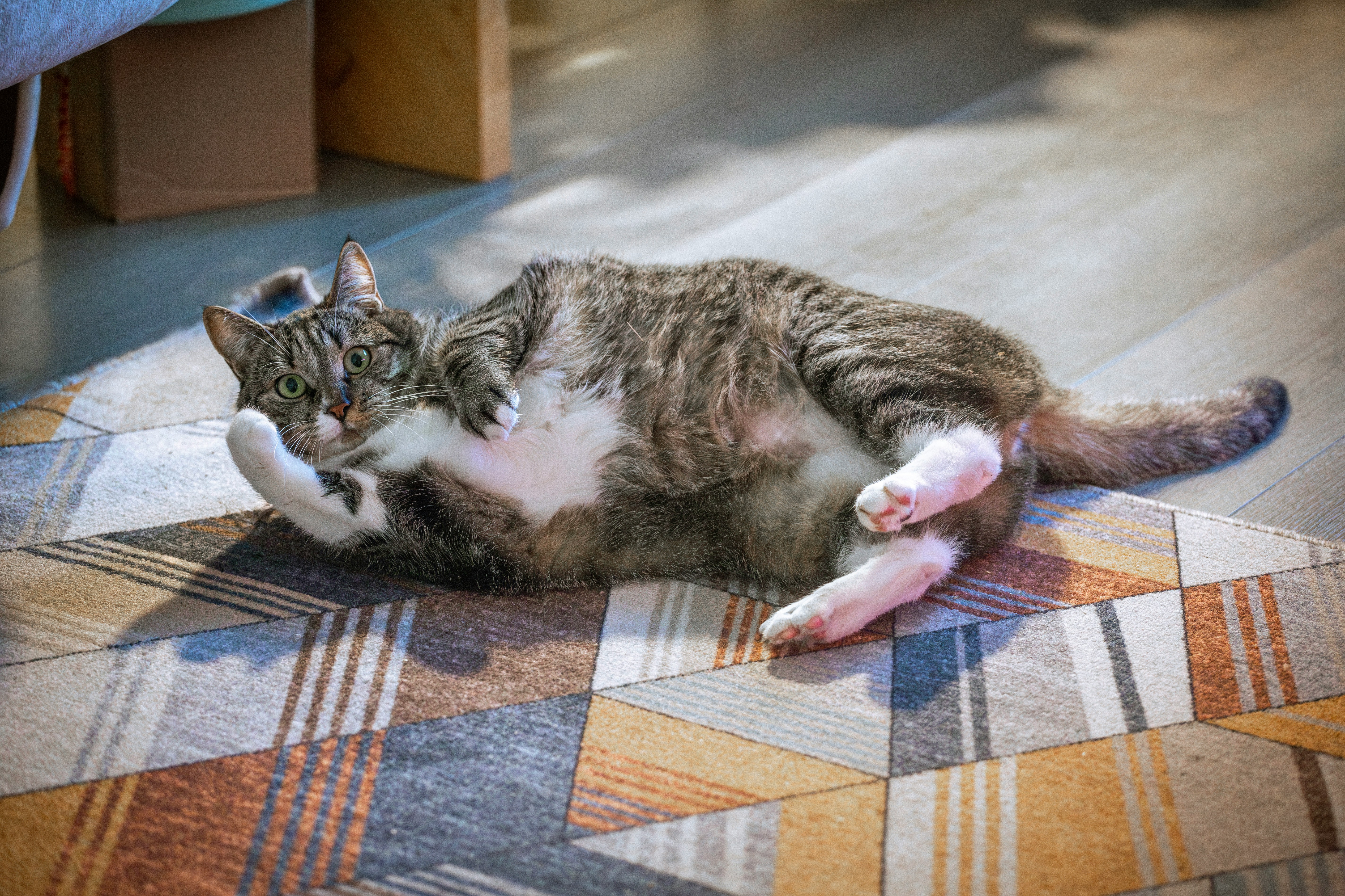 Photo by Tatyana Rubleva on Unsplash