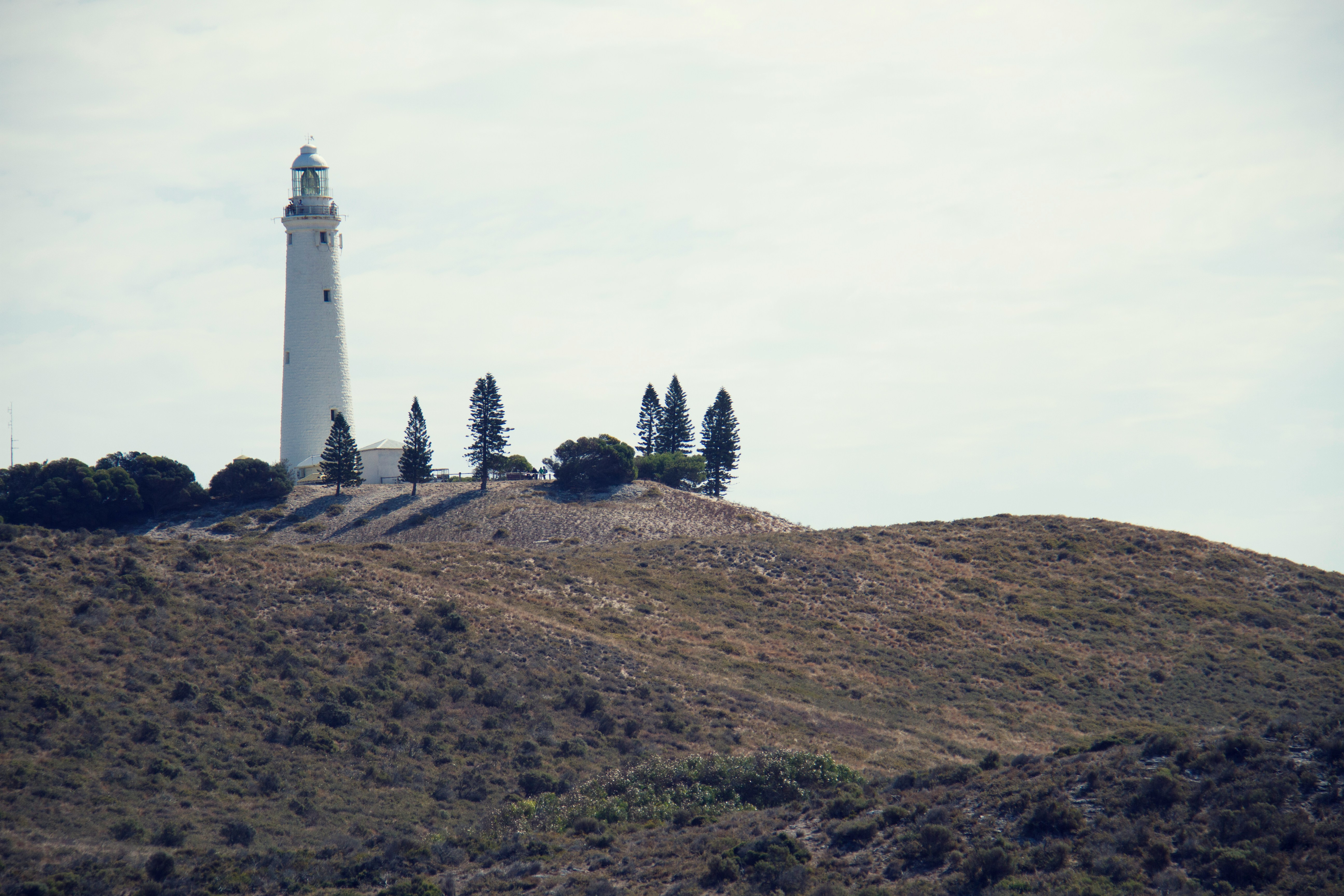 Photo by Lewis Darby on Unsplash