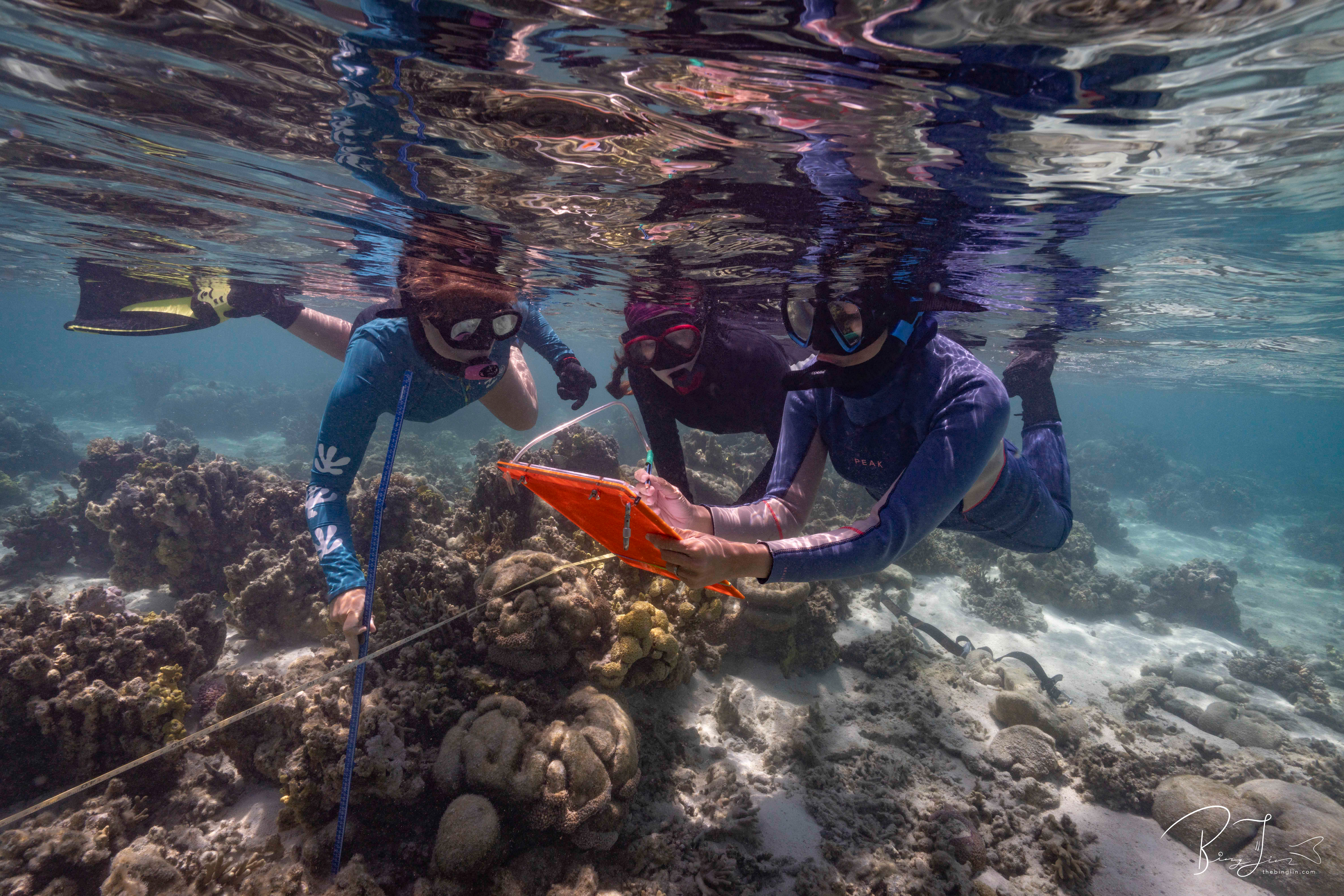 Members of the University of Sydney's Geocoastal Research Group surveying One Tree Reef in November 2025. Credit:  Bing Lin