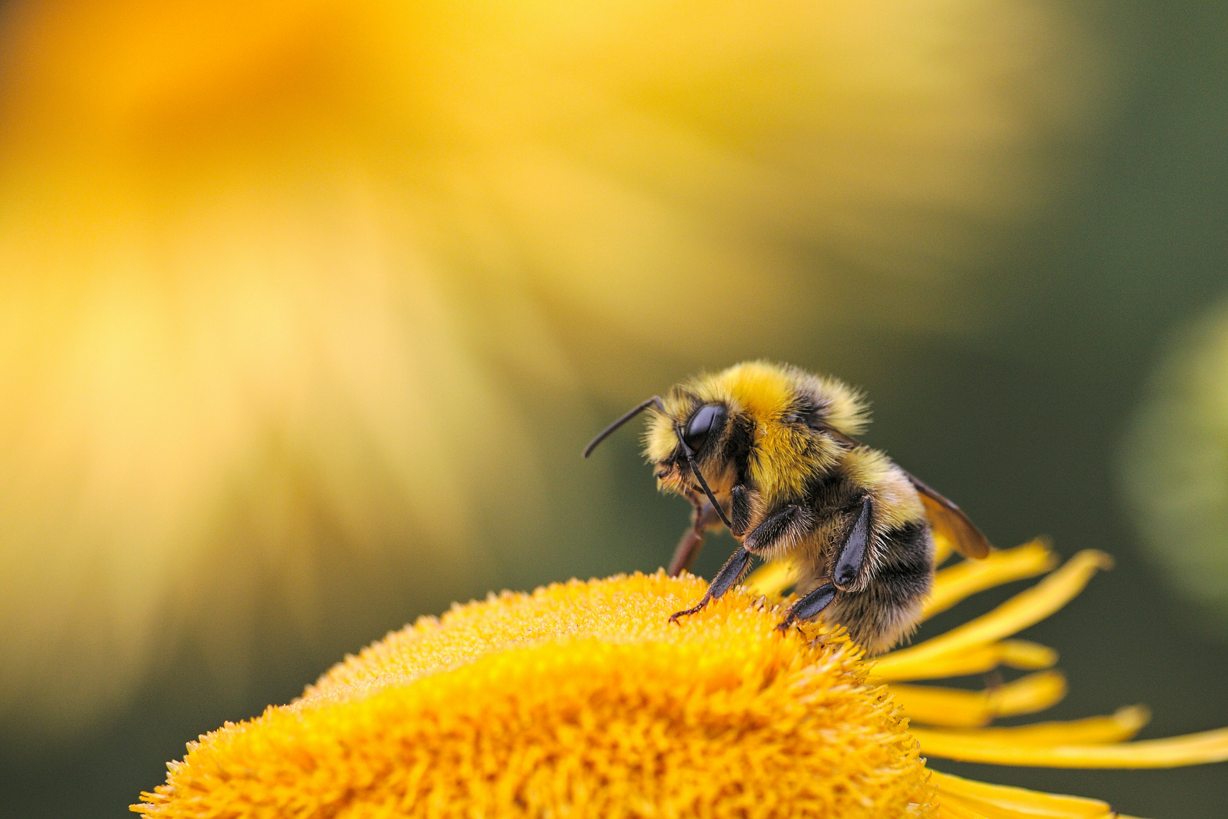 Photo by Dmitry Grigoriev on Unsplash